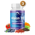 vision20